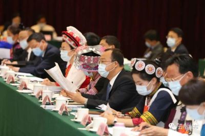 来看看保山的两位全国人大代表在两会都说了啥！