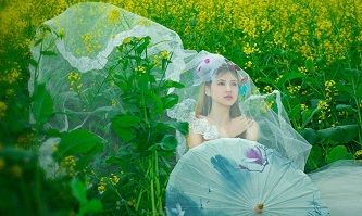 婚姻契约免费阅读全文